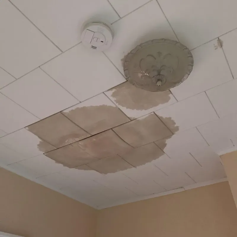 Ceiling Water Damage Repair in Williamsburg, VA