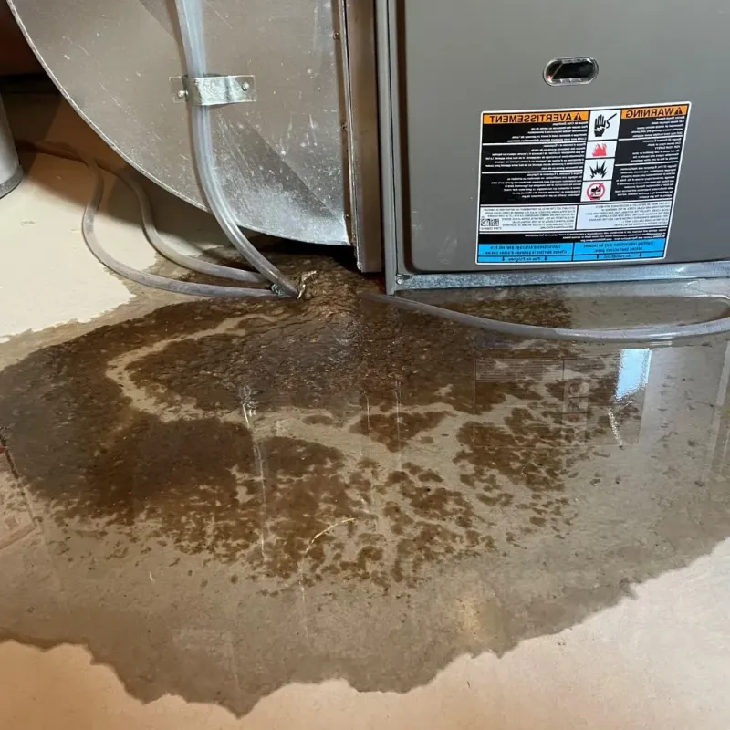 Pipe Burst and Leak Restoration in Williamsburg, VA