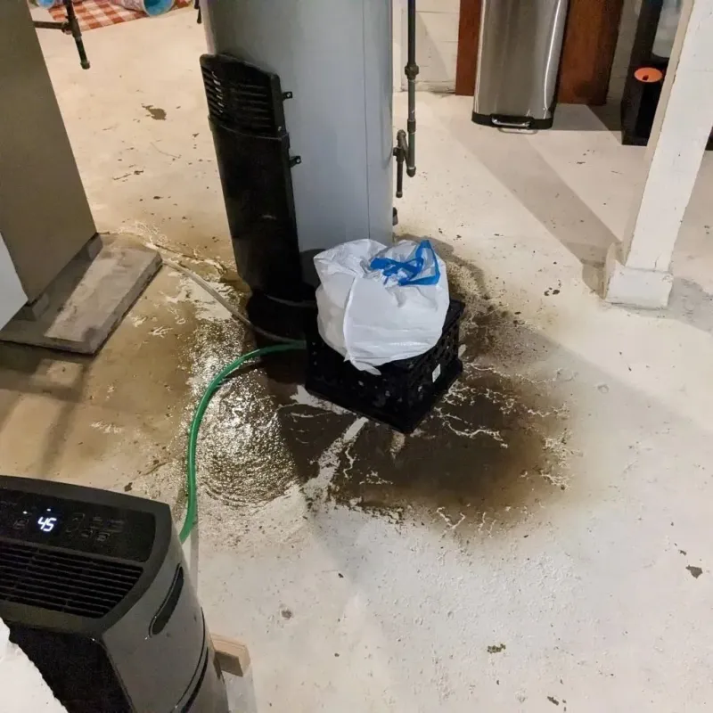 Sewage Backup Cleanup Service in Williamsburg, VA